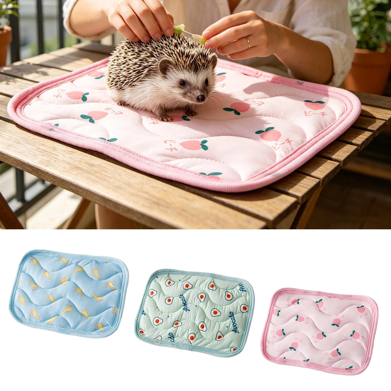 Outdoor Camping Dog Kennel - 세탁 가능한 애완동물 냉각 매트, 소형