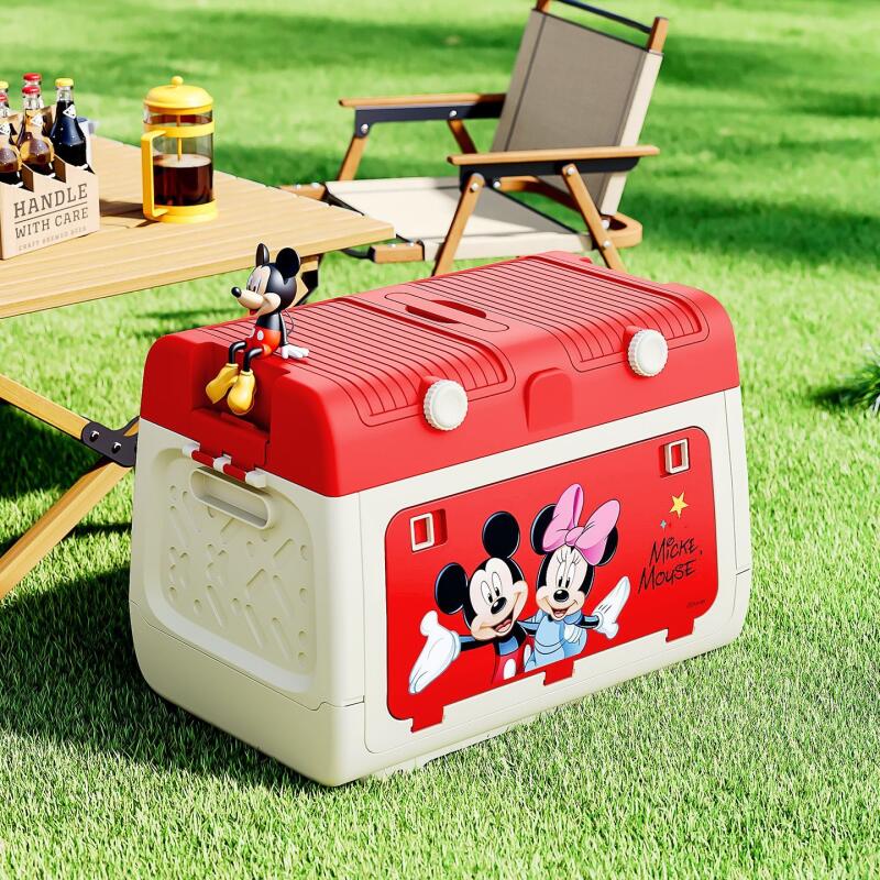 디즈니 정품 공인 야외 캠핑 보관함 미키와 미니 자동차 - Outdoor Camping Storage Box 리뷰 및 가격