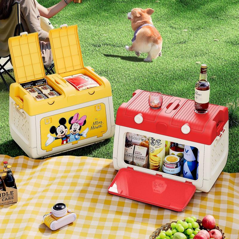디즈니 정품 공인 야외 캠핑 보관함 미키와 미니 자동차 - Outdoor Camping Storage Box 리뷰 및 가격