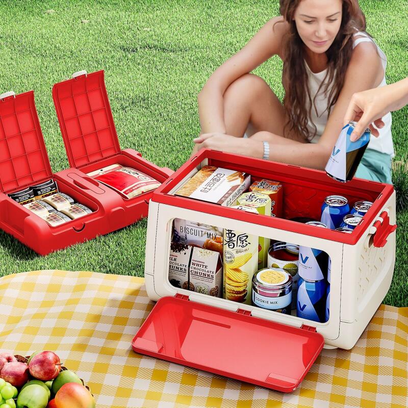디즈니 정품 공인 야외 캠핑 보관함 미키와 미니 자동차 - Outdoor Camping Storage Box 리뷰 및 가격